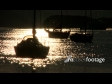 Yacht Picton Harbour 1 541